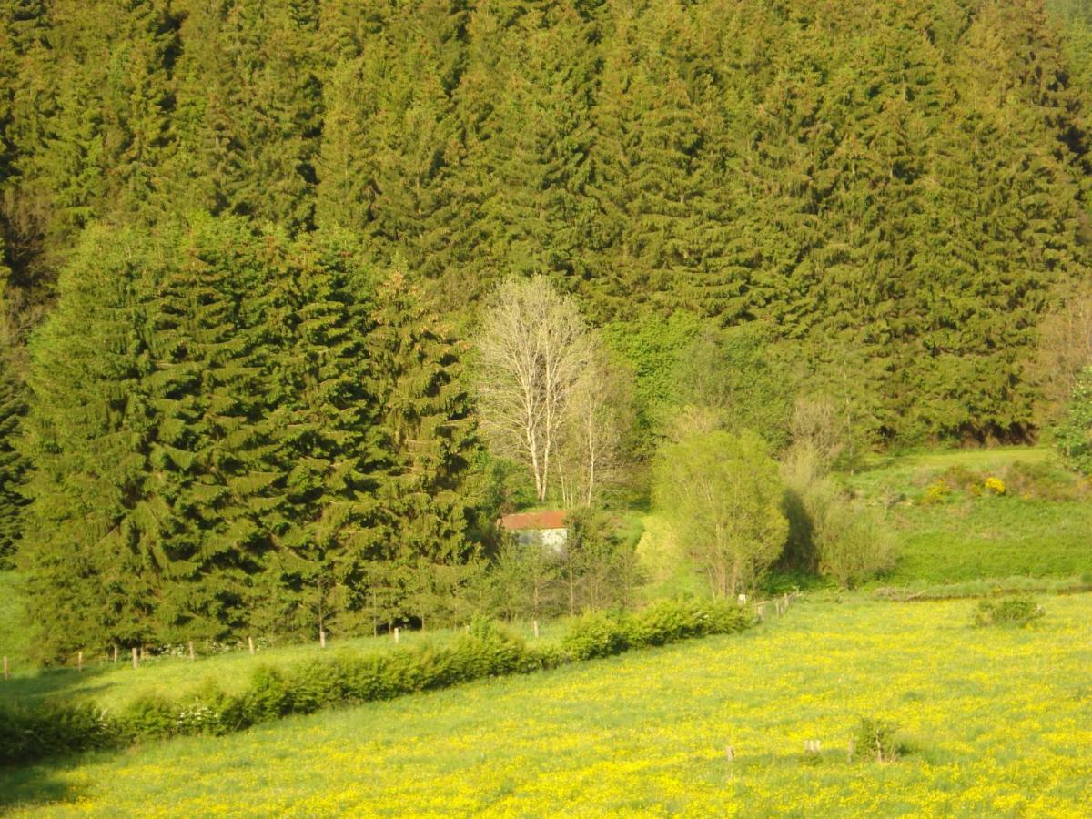 Location Panoramagreen Burg Reuland Exterior foto